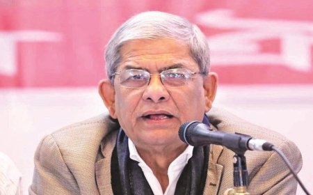 Local government elections likely to start in September-October: Fakhrul