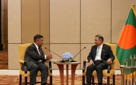 PM, Robi Axiata CEO Hold Talks on Telecom Investment and 5G Expansion