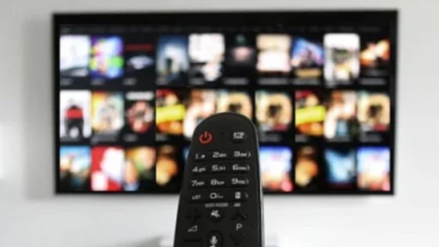 Children Increasingly Embrace Foreign Content Amid Decline in Quality Local TV Programming