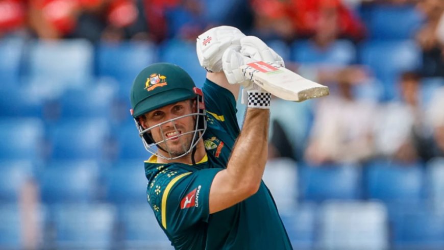 Marsh’s blistering knock seals series whitewash