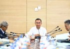 NICAR approves three new upazilas and one thana