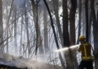 Spain Wildfire Death Toll Climbs to 12