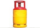 Government plans subsidised LPG cylinders for low-income rural households