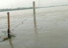 Today's Flood Update: Teesta River Water Level Approaches Danger Mark