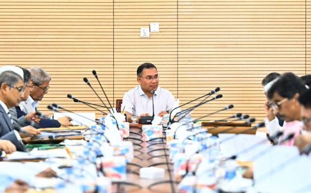 Cabinet committee formed to revise 2006 visa policy