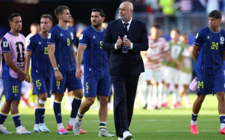 Bosnia Boss Proud of Players' World Cup Journey