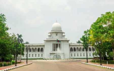 Writ remains a vital constitutional safeguard for protecting rights