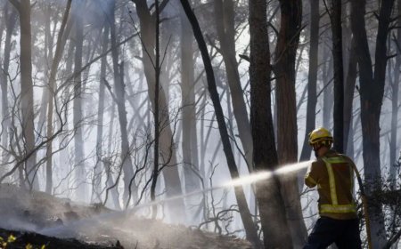 Spain Wildfire Death Toll Climbs to 12