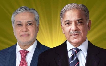Pakistan PM, Foreign Minister Express Sympathy Over Bangladesh Floods