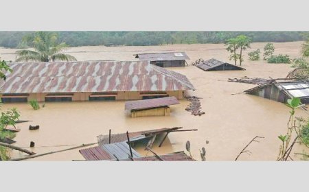 Flood misery deepens as death toll reaches 51, over a million stranded