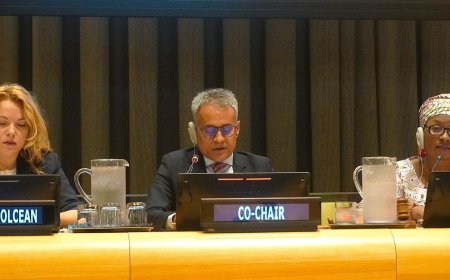 Dhaka urges stronger institutions to improve road safety and save lives