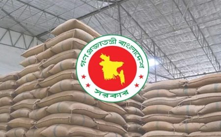 Govt targets 3.4m-tonne food grain storage capacity
