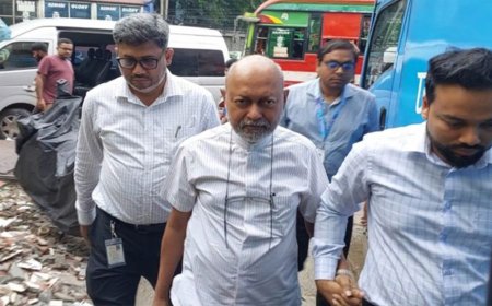 July Attempted Murder Case, Former Begum Rokeya University Vice-Chancellor Kalimullah has sought to be shown arrested in the July attempted murder case