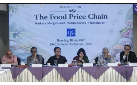 CPD Study: Rice Prices Double Between Farmgate and Retail, Green Chilli Up 116%