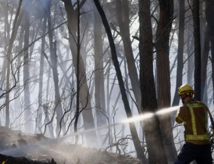 Spain Wildfire Death Toll Climbs to 12
