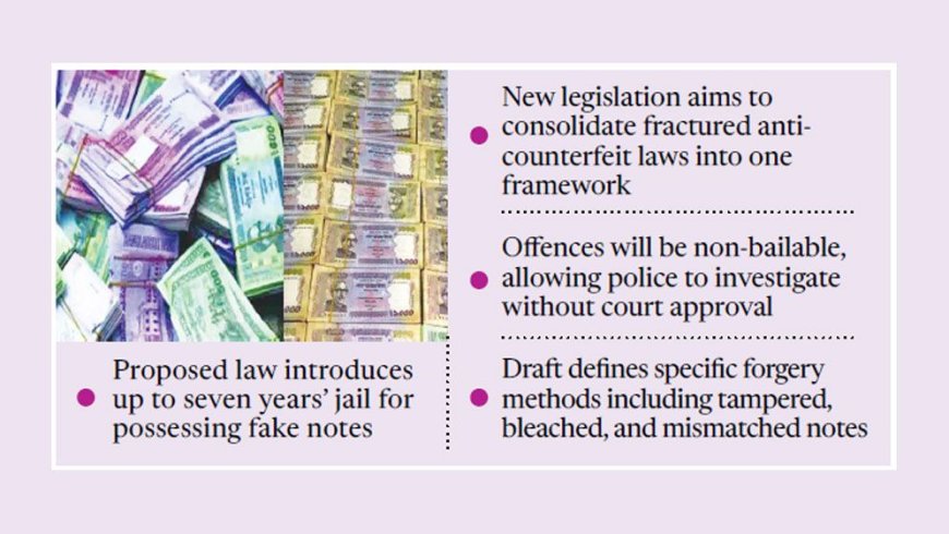 Tough New Law Proposed to Crack Down on Counterfeit Currency Networks