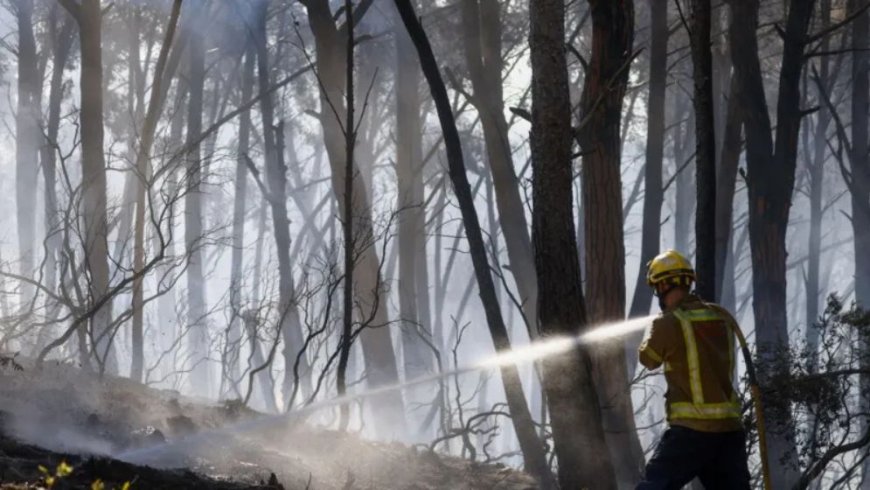 Spain Wildfire Death Toll Climbs to 12