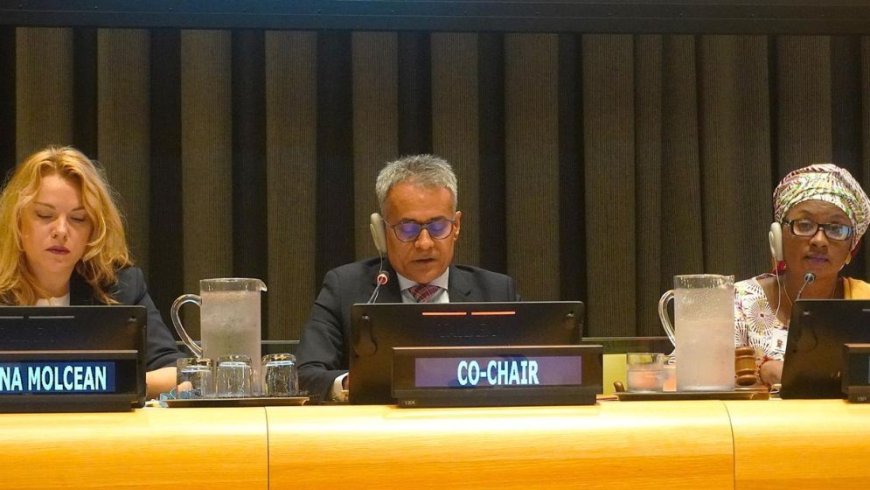Dhaka urges stronger institutions to improve road safety and save lives