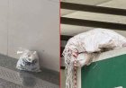 Bomb scare at two metro stations after suspicious bag found with zarda tin, betel leaf