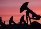 Oil Prices Fall on Iran Optimism as Yen Rallies After Joint Intervention