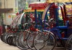 E-rickshaws will need solar-powered charging to obtain registration, says State Minister Shahe Alam