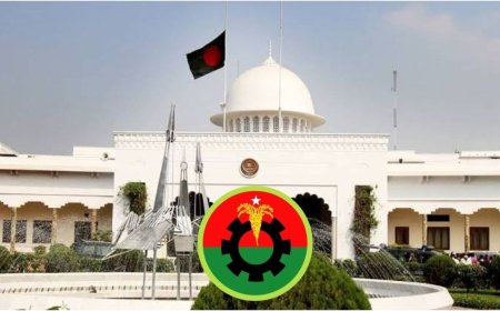 BNP Standing Committee to Convene This Evening on Presidential Nomination