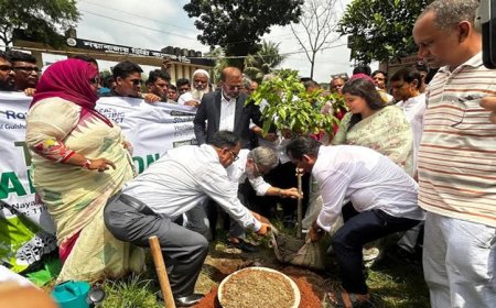 The government aims to preserve 25 crore trees to help mitigate the impacts of climate change, said Faridul