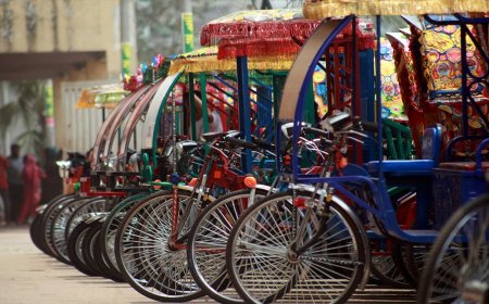 E-rickshaws will need solar-powered charging to obtain registration, says State Minister Shahe Alam