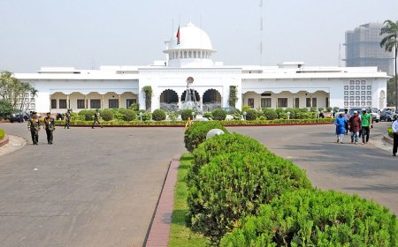 Presidential Election: Candidates Can Withdraw Candidacies Until 4pm Today