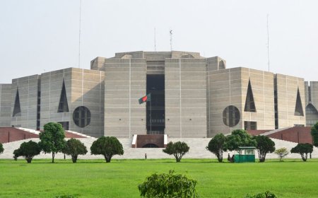 Thakurgaon-1 parliamentary seat falls vacant following Mirza Fakhrul’s assumption of presidency