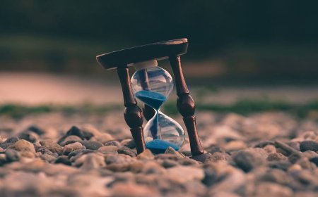 Allow the government time to deliver