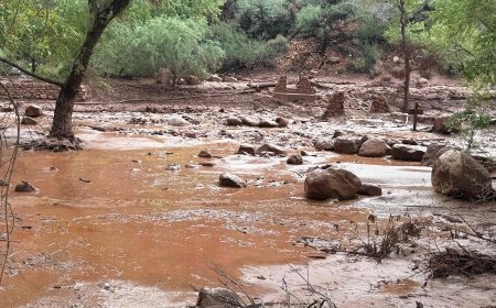 Today’s Flood Updates, About 15 people reported missing after flash flood hits Grand Canyon in the US