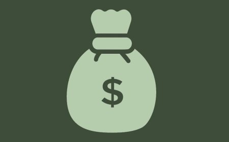 Foreign Finance Imbalance,   Disbursements Decline as Debt Servicing Costs Double