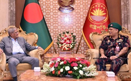 President calls on BGB to take stronger action against smuggling and prevent border killings