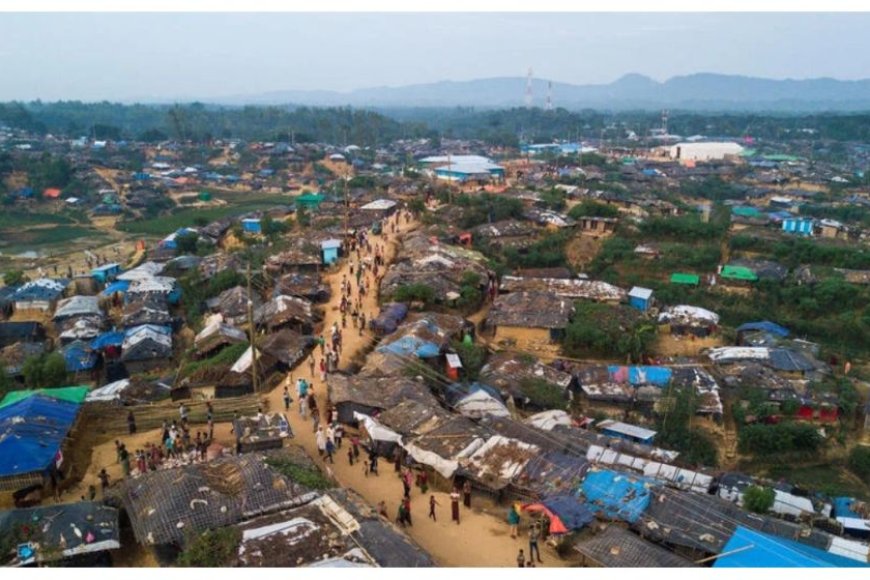Diplomatic missions vow to keep the Rohingya crisis high on the global agenda