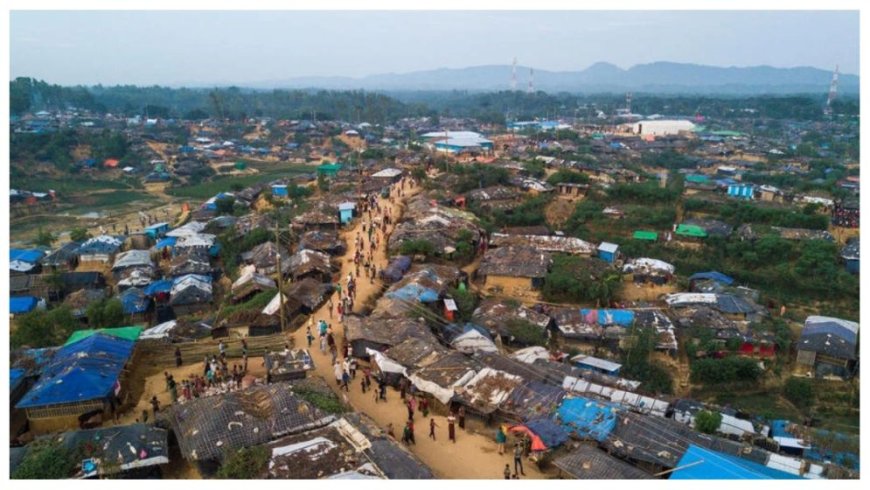 Diplomatic missions vow to keep the Rohingya crisis high on the global agenda