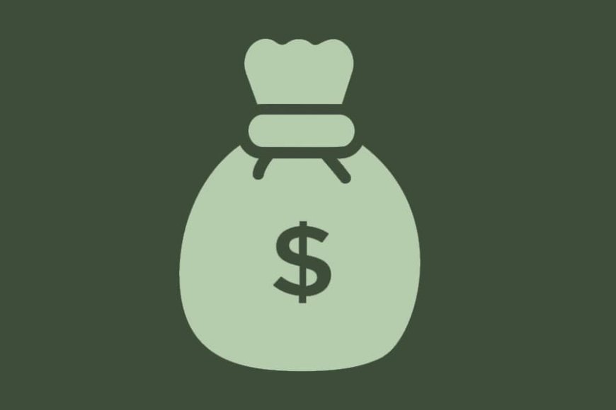 Foreign Finance Imbalance,   Disbursements Decline as Debt Servicing Costs Double