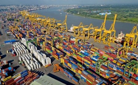Exports Rise 13.14% in August