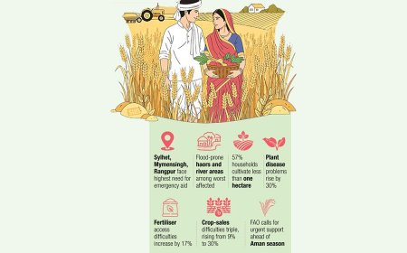 FAO: 10 lakh farm households urgently need agricultural assistance