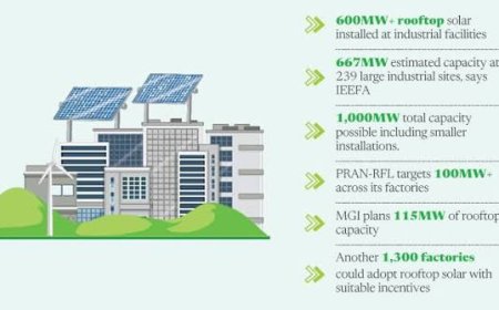 Industries Embrace Rooftop Solar Energy