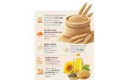 Global crop outlook fuels concerns over wheat and edible oil supplies in Bangladesh