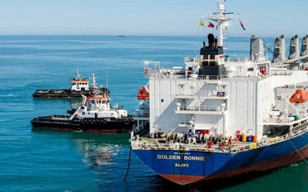 Seven Fertiliser-Laden Ships to Arrive This Month