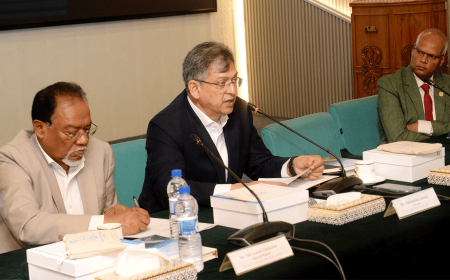 Salahuddin calls for stronger global pressure to resolve the Rohingya crisis
