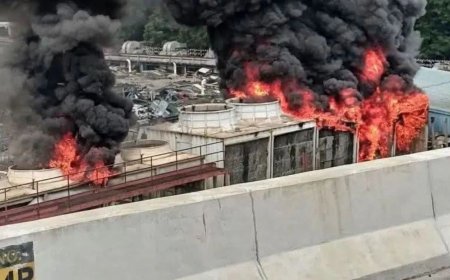 Mohakhali Building Fire: Electrical Substation Located on Third Floor