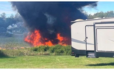 US Air Force F-16 Fighter Jet Crashes in Michigan After Suspected Bird Strike