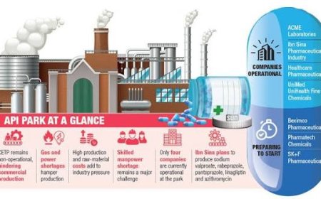 Pharmaceutical Industry Faces Energy, Cost and Skilled Manpower Challenges