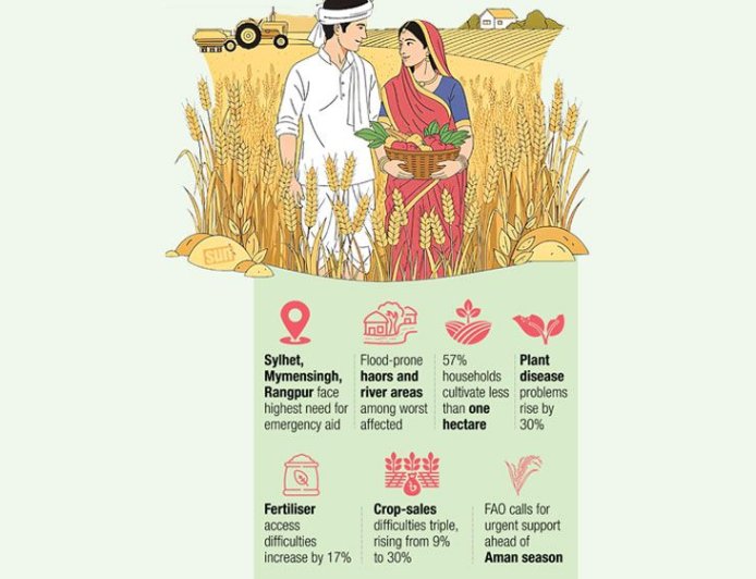 FAO: 10 lakh farm households urgently need agricultural assistance