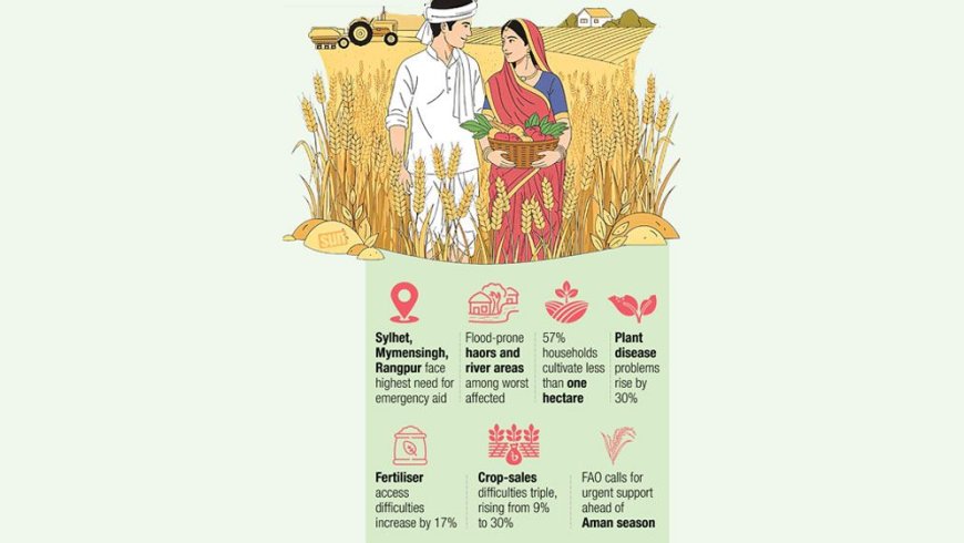 FAO: 10 lakh farm households urgently need agricultural assistance