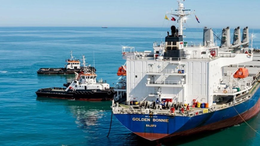 Seven Fertiliser-Laden Ships to Arrive This Month