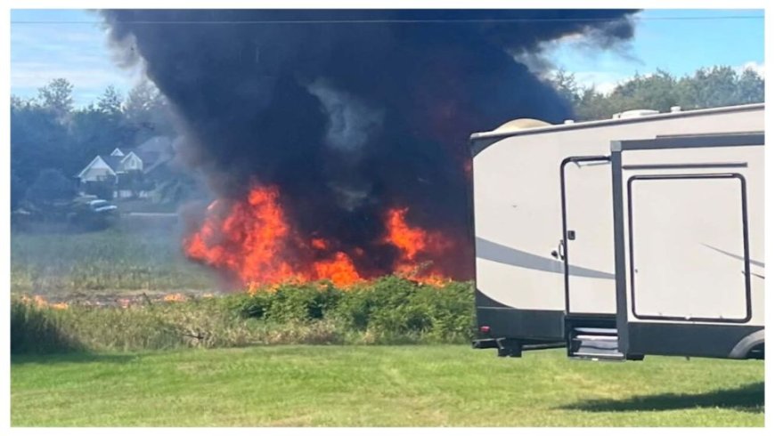 US Air Force F-16 Fighter Jet Crashes in Michigan After Suspected Bird Strike